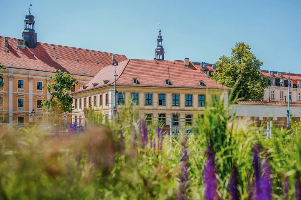 Uniwersytet
